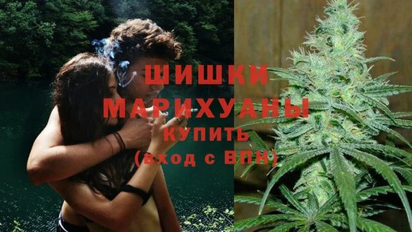 герыч Туринск