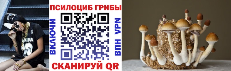 Купить где  Буинск  Галлюциногенные грибы ЛСД 